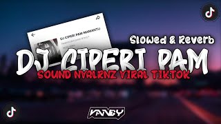 Download lagu DJ CIPERI PAM ‐ ( Slowed & Reverb ) 🎧🎶 mp3