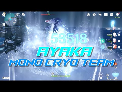 C0 Ayaka Mono Cryo Team for future if Dendro + Cryo without any Reactions