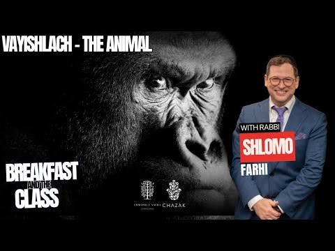 Vayishlach: The Animal | Rabbi Shlomo Farhi