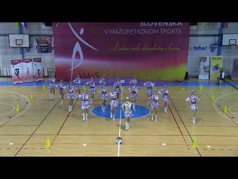 MSR 2023 VF baton senior