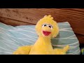 Big Bird Sings Let S Go Tubbin Today