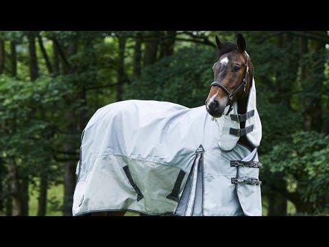 Fly Rug - The Fieldmasta Fly Rug | Fly Rugs for Horses