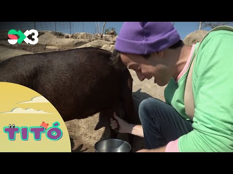 Excursió a munyir cabres | Titó