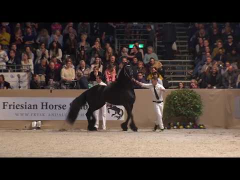 Hengstenkeuring 2018: Rubriek 5