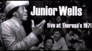 Junior Wells & Phil Guy  ~  ''Snatch It Back And Hold It''&''Scratch My Back'' Live 1975