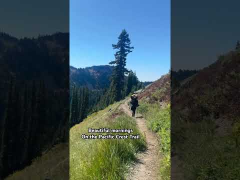Would you hike the PCT?