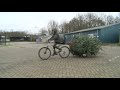Flevolandse jongeren op zoek naar het groene goud: 'mag ik uw kerstboom'?