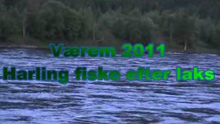 preview picture of video 'Namsen - Harling fishing for salmon year 2011'