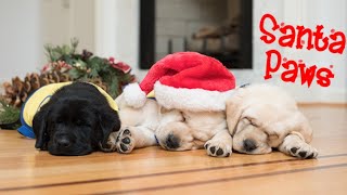 Santa Paws 2020 gameplay video by alucas, 14:15 duration
