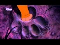 Ostern Auf Dem DISNEY CHANNEL Hakuna Matata Mit Dem KÖNIG DER LÖWEN