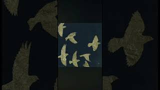 Pharoah Sanders - Kazuko (Peace Child)