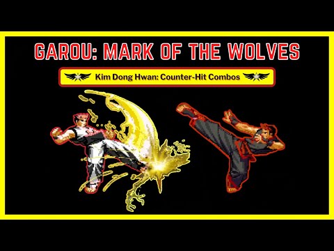 Kim Dong Hwan: Counter-Hit Combos - Garou: Mark of the Wolves