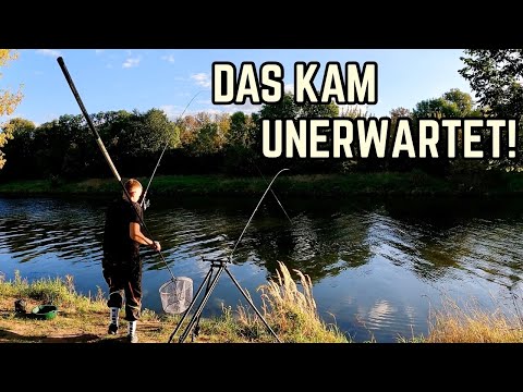 Big zander feeding on the river - speechless after this day of fishing!