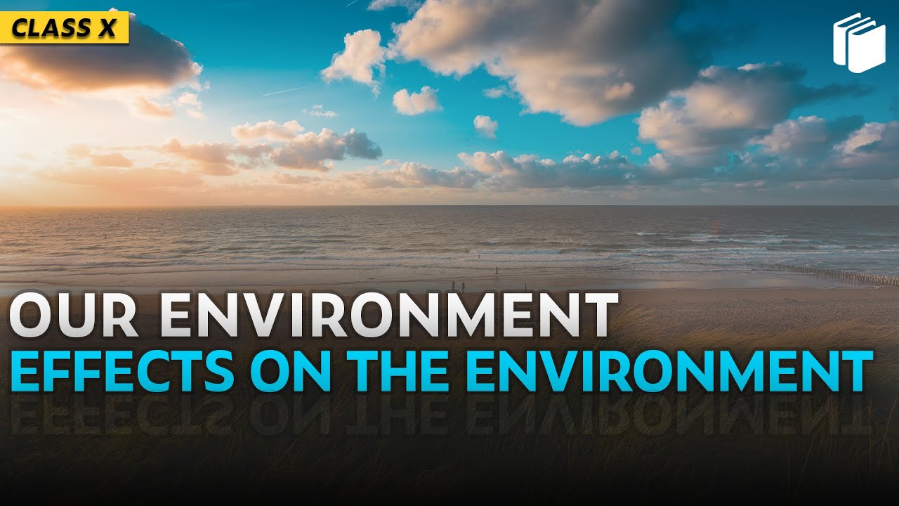 How Do Our Activities Affect the Environment? | Chapter 15 | Class 10 | PuStack