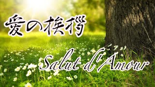 Download lagu 【フルートとピアノ】愛の挨拶 作品12/エルガー Salut d'amour Op.12/ Edward Elgar  (Flute & Piano Ver.) mp3