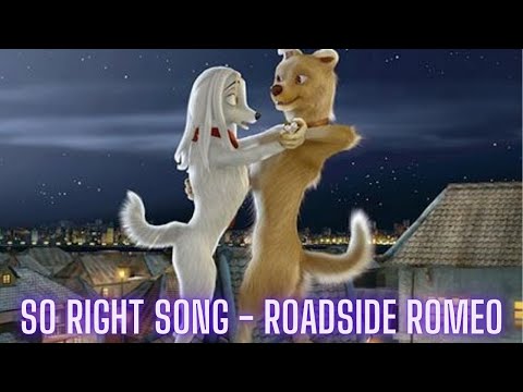 So Right Song | Roadside Romeo | Gayatri Iyer, Kunal Ganjawala | Salim-Sulaiman | Full HD Video