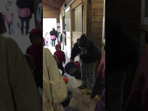 Rainy Day Pony Party at Sheffield Way Farm