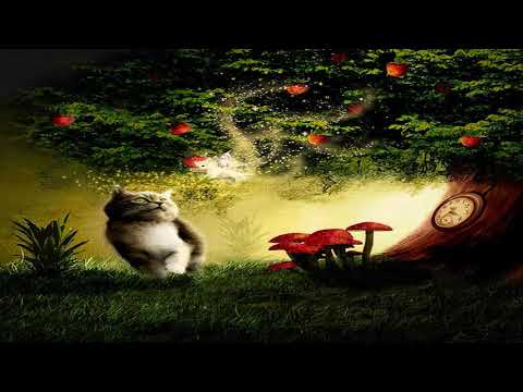 Filip Nikolaevic - Retro Set [Oforia at Plastic] ᴴᴰ
