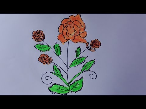 How to draw a rose tree draw a rose bush easy draw a rose bush step by