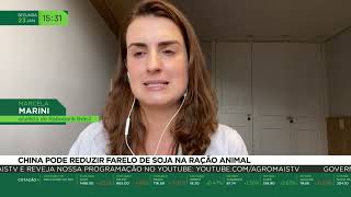 Miniatura do vídeo