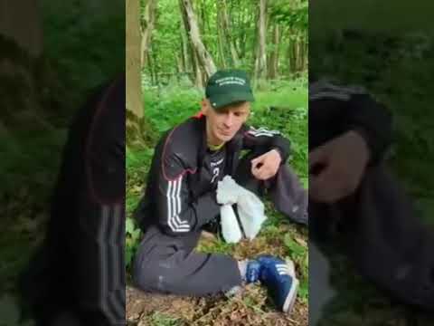 MAJOR ZNOWU W LESIE REUP(16.06.2020).