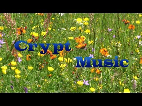 Elias Naslin - Stick Together (ft. Lucy & Elbot)