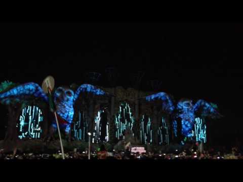 Electric Daisy Carnival EDC Mexico 2015 #EDCMX