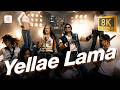 Yellae Lama 8K 4K Video Song 7 Aum Arivu Suriya Shruti Harris Jayaraj
