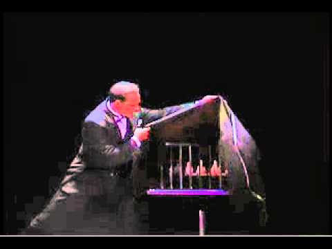 Rappa Bird Cage Illusion