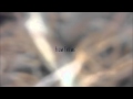 Film Theme End Credits