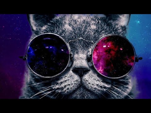 Tech house 2020 | Best of FISHER,MARK KNIGHT Mixed by DJ SHERO