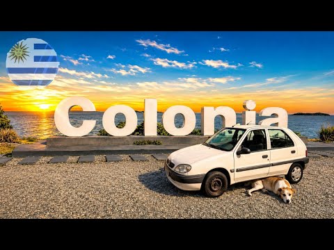COLONIA del SACRAMENTO Vídeo Breve con mi PERRO 🐶
