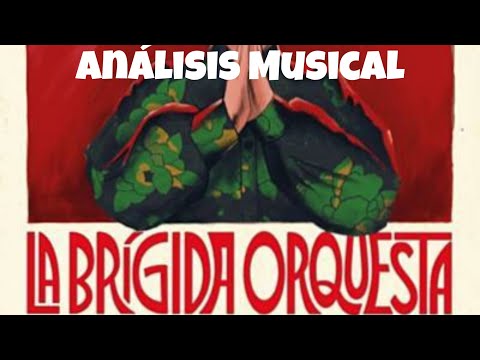 Lokko: Reacción a La Brígida Orquesta - Si Te Busca