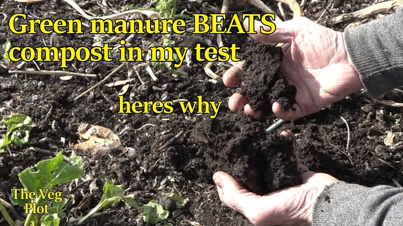 green manure is the compost winner in my trial