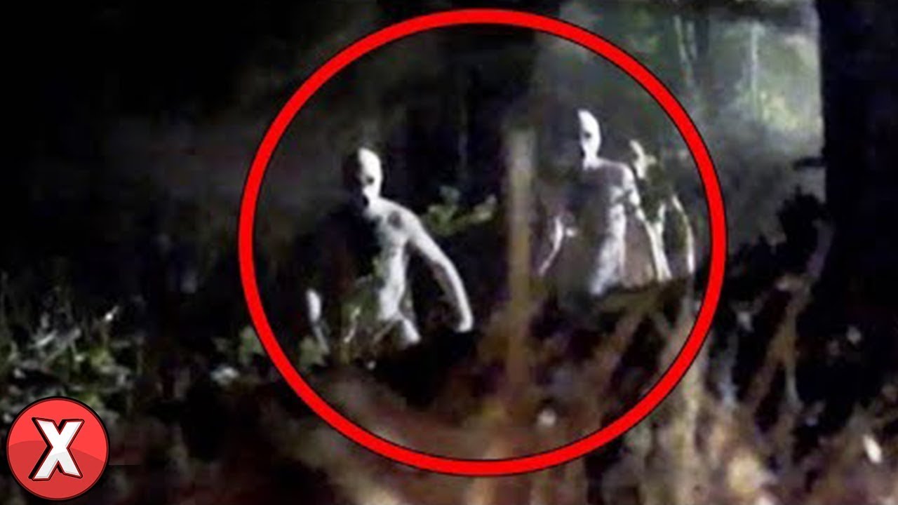 Vídeos que Tentaram APAGAR da INTERNET (Parte 13)