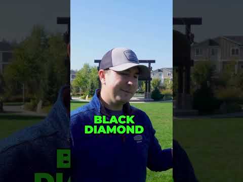 Trip Planner King County Wa