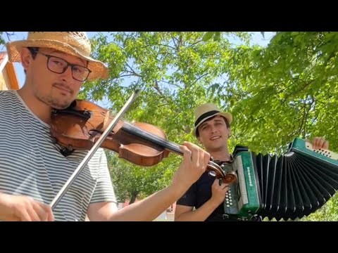 Vlasta Redl - Husličky (cover) Pavel a Zdeněk Muchovi