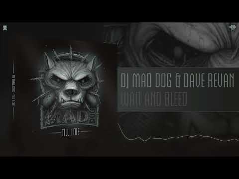 DJ Mad Dog ft. Dave Revan - Wait and Bleed