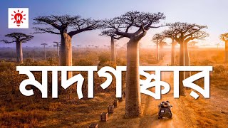 Download lagu মাদাগাস্কার | কি কেন কিভাবে | Madagascar | Ki Keno Kivabe mp3
