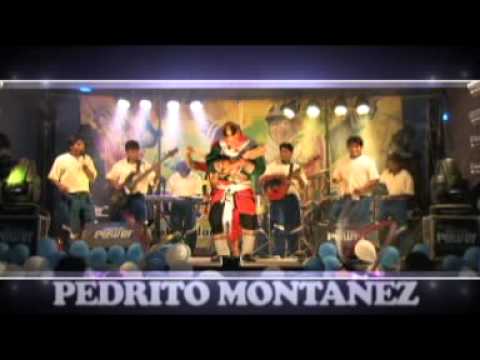 Mil Amores - Pedrito Montanez