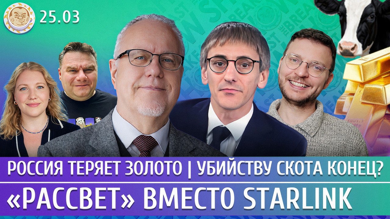 500 дронов по западу Украины, Удар по Усть-Луге, «Рассвет» вместо Starlink. Липсиц, 
