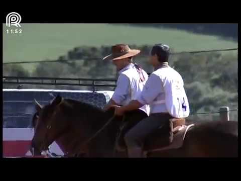 Região SC/PR – 5° e 8° lugar fêmeas – Natividade Erva Mate e Ibérica da Vendramin (Campo II)