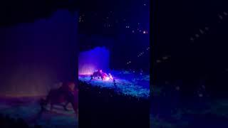 Shiny from Moana (Disney on ice)