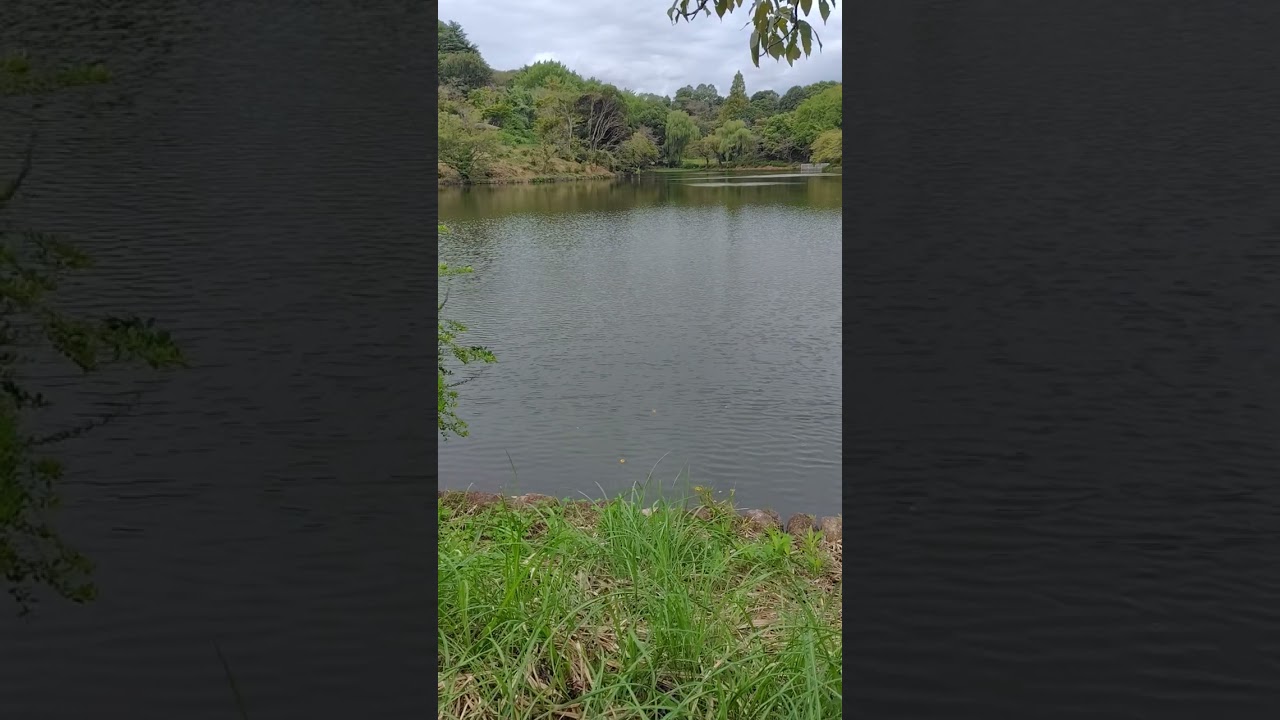 YouTube Short thumbnail