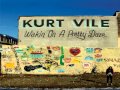 kurt vile - shame chamber