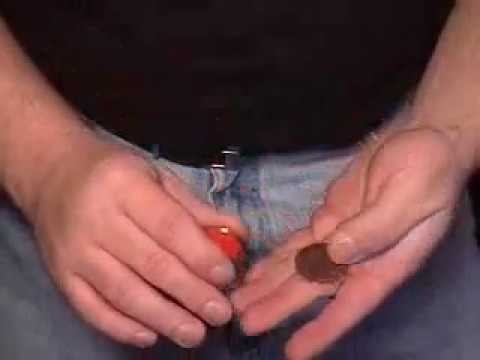 casino coins magic trick revel