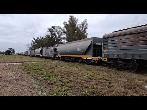 Gt- 22 (9098) con un Tren Cargados de N.C.A a su paso por "Estación Beltrán" en plena siesta 🚂🇦🇷☁️