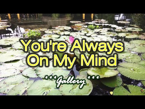 You're Always On My Mind - KARAOKE VERSION - Gallery