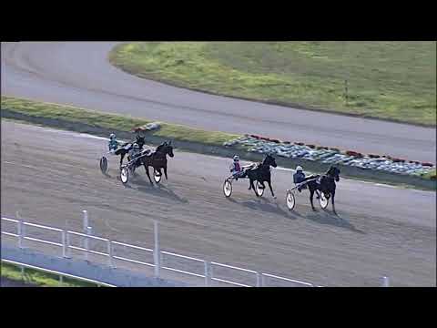 Napoli Trotto 07/07/2023 - 1ª prova di qualifica