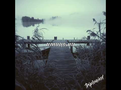 даже - птицами (triplemind remix)